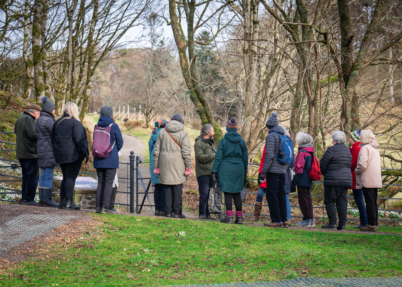 Group Visits
